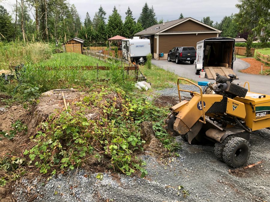 Grinder parked in a driveway beside a big stump