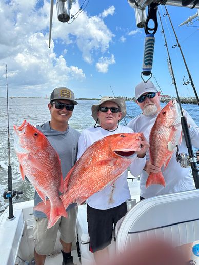 Three men proudly holding large red snapper fish on a boat under a blue sky.