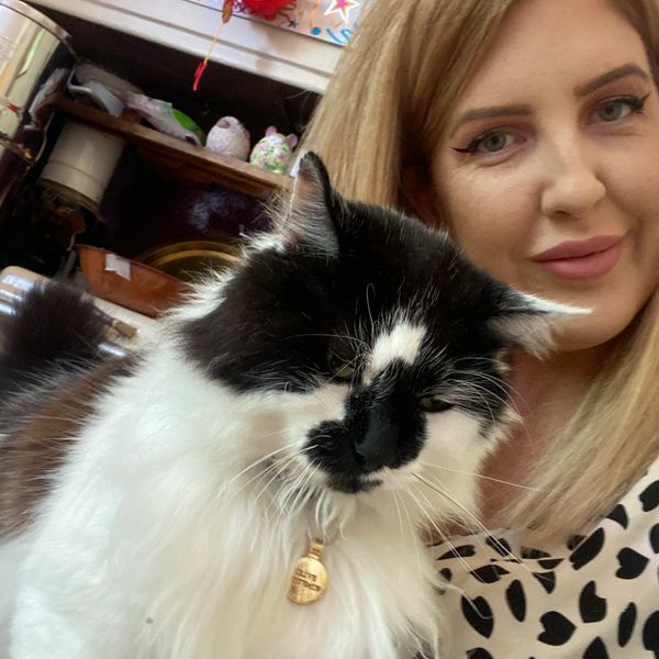 Hither Green cat sitter holding cat