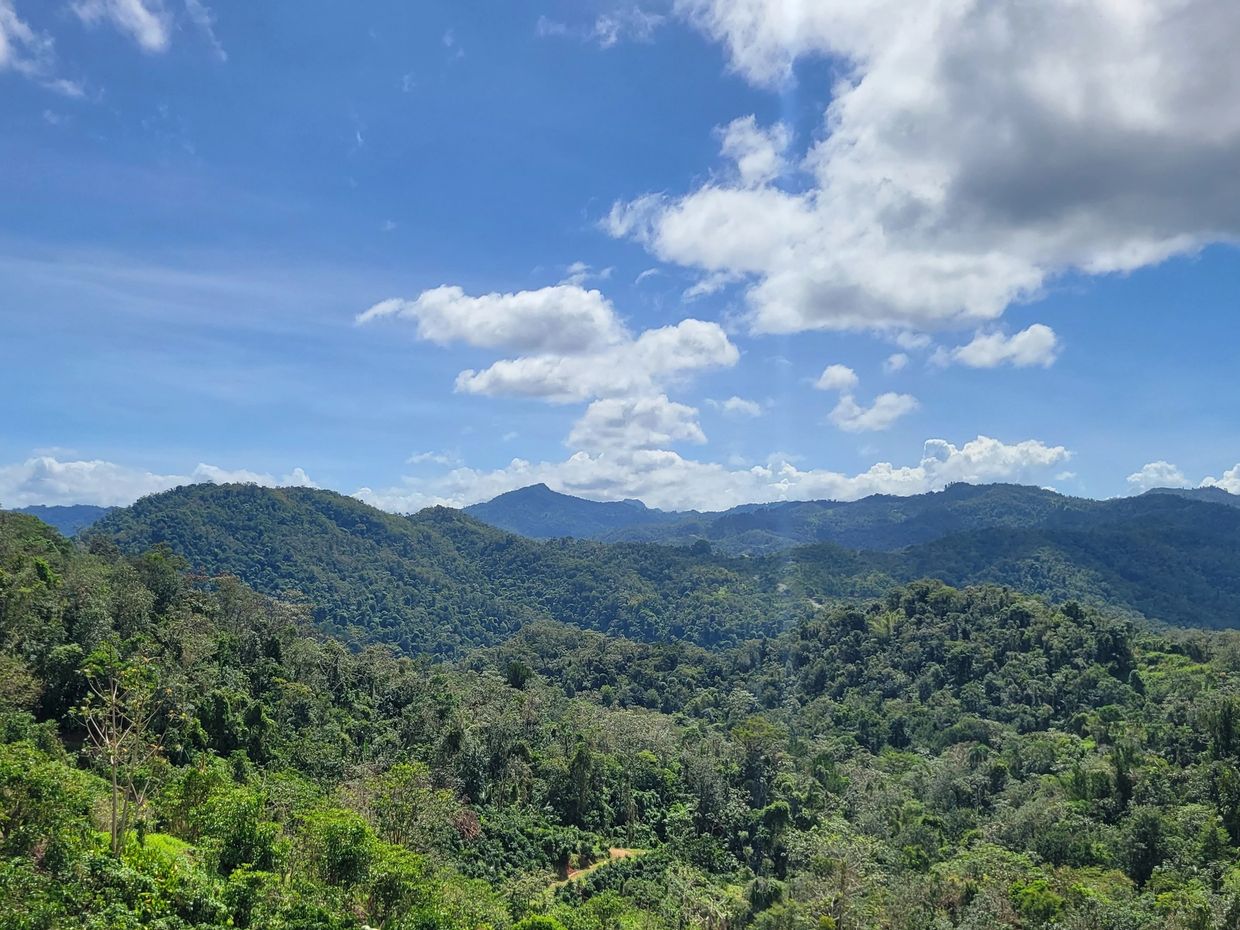 Lush green mountains under a bright blue sky with scattered clouds.