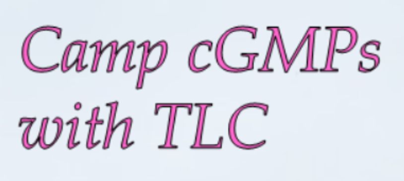 Camp cGmps with TLC