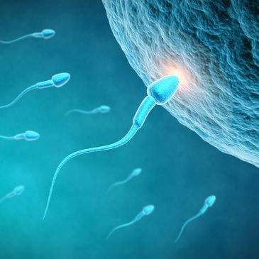 Male Infertility, East West Natural Health Care, Austin, TX, USA