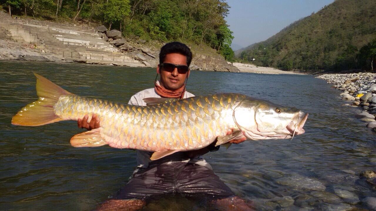 Himalayan Rivers United - Non-Profit, Environmental Organization