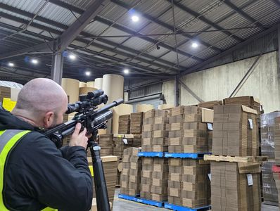 Pigeon culling in an factory. Pigeon Removal. 