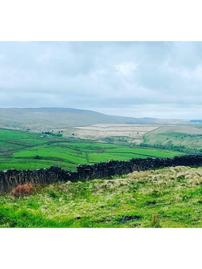 Yorkshire countryside 