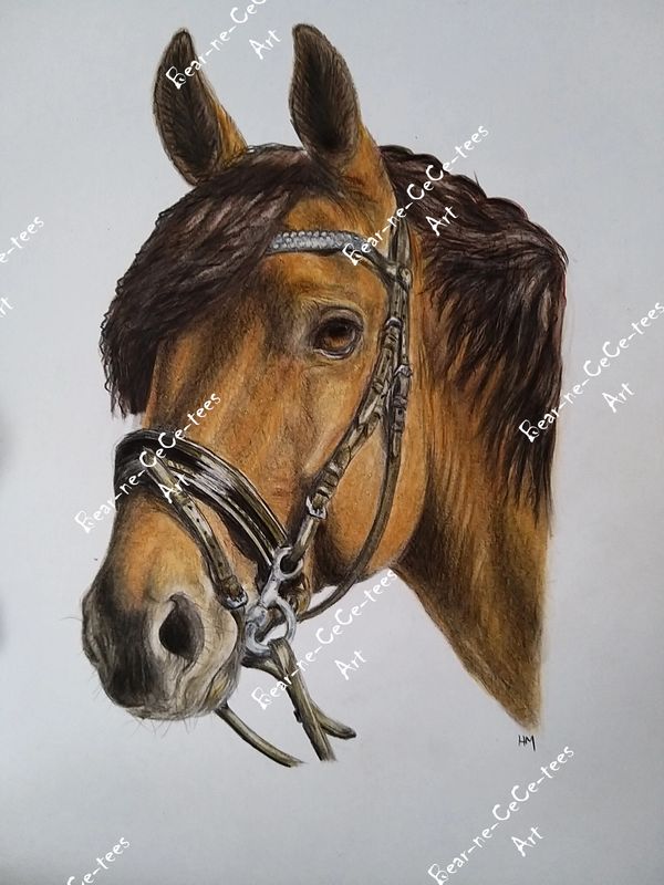 Equine art horse portrait