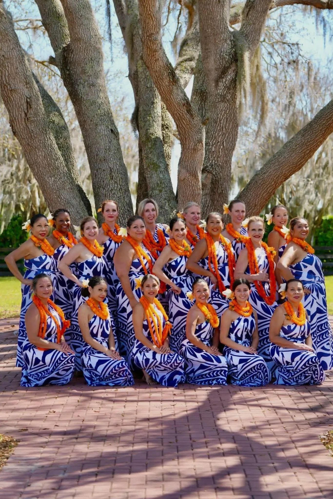 Hula Lessons Signs Aloha Hula of Brevard - Hula Dancing Lessons, Hula Dancers