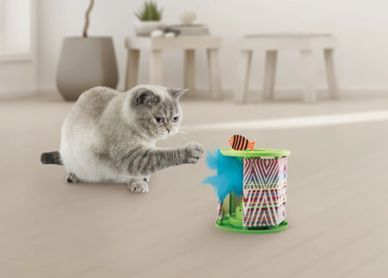 Awesome Toys that interact with our pets.