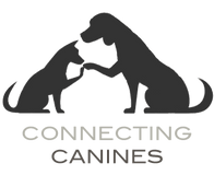 Connecting Canines