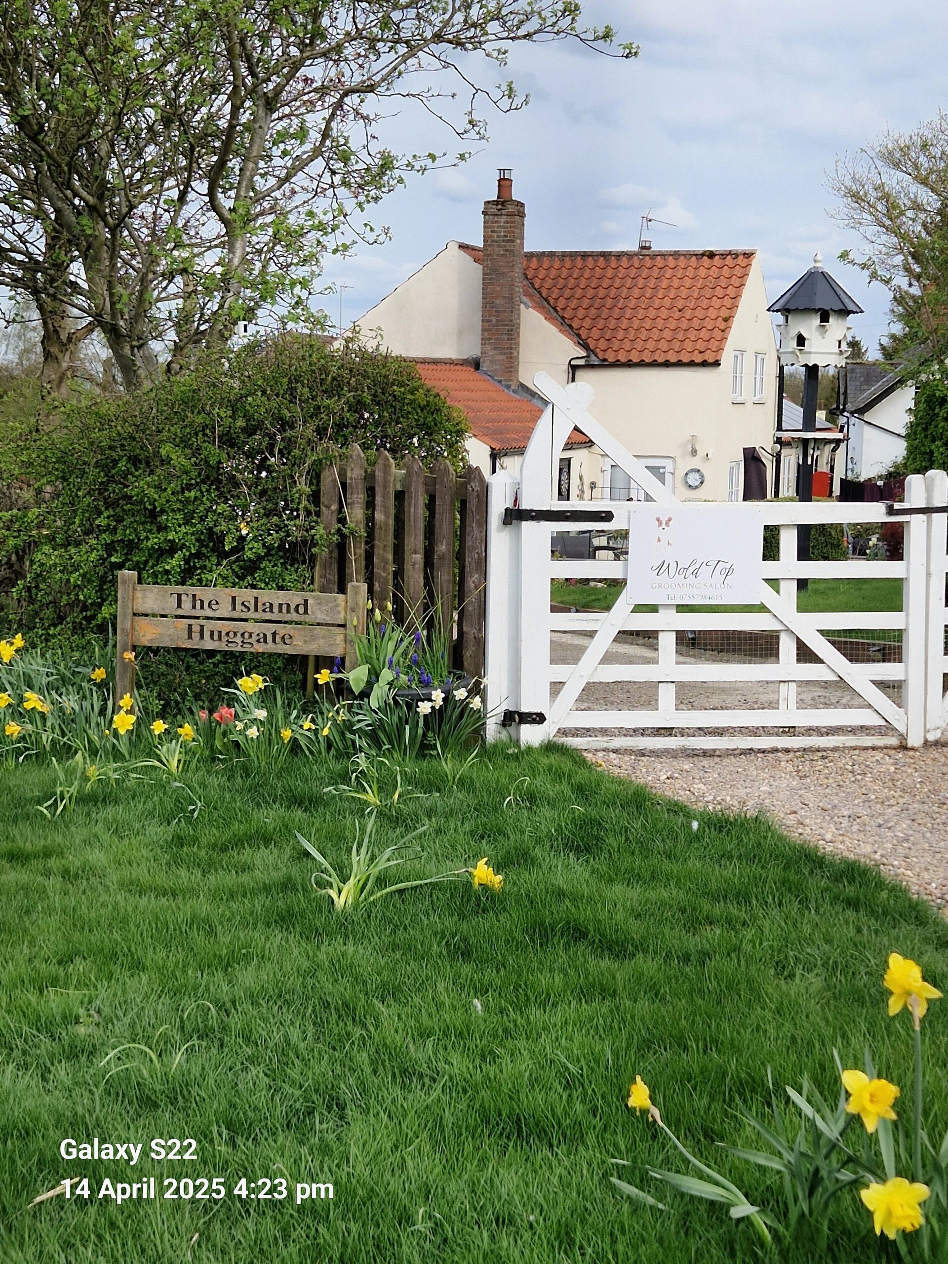 View of Expert Pet Grooming Services in East Yorkshire