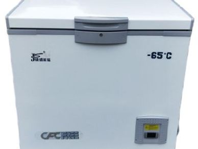 NSF 44 inch Chest freezer 10 cu ft XF-302