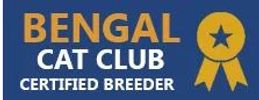 Bengal Cat Club