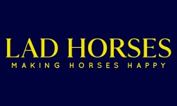 Making Horses Happy
