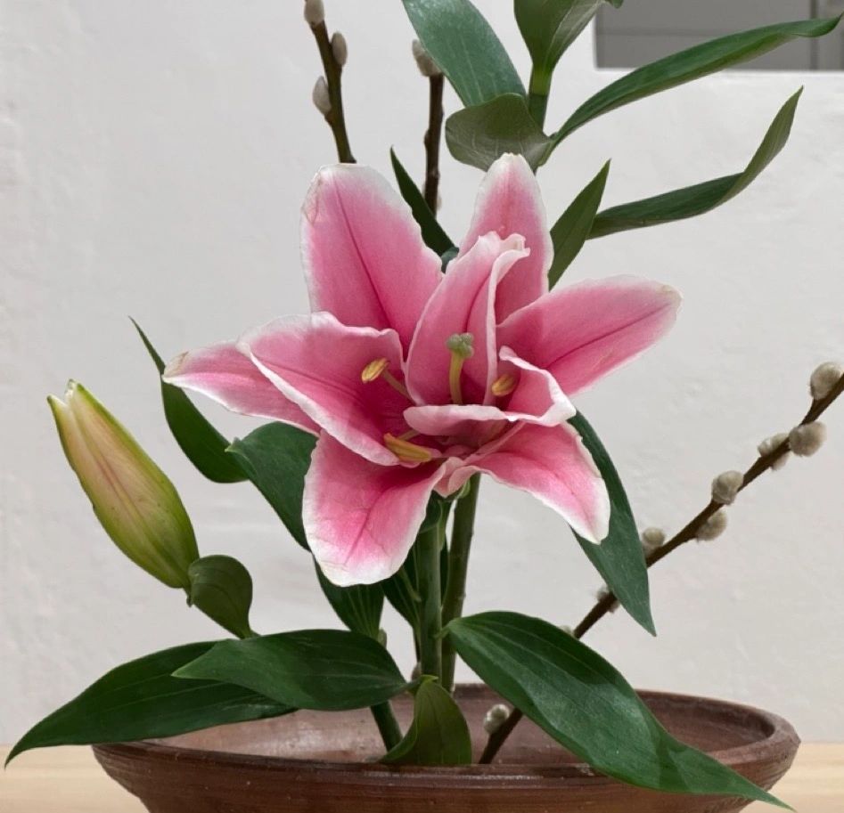 composizione di ikebana a bologna