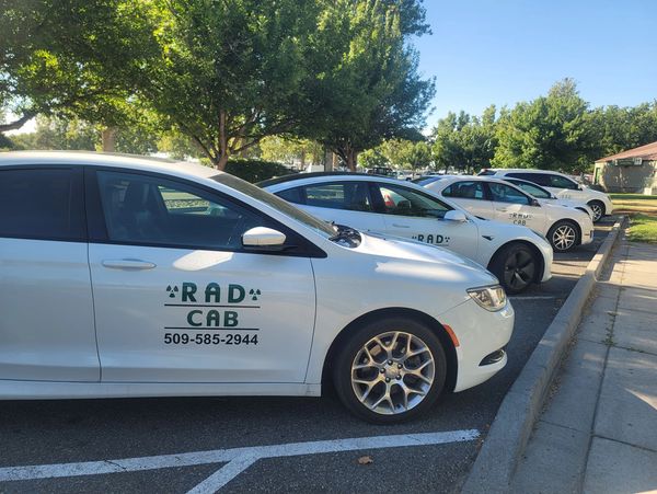 A row of white RAD CAB cars parked in a sunny lot under trees.