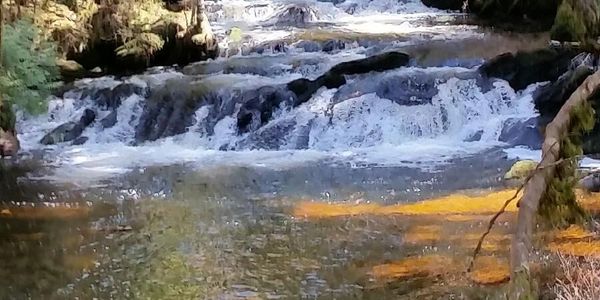 Hiking in Ketchikan along the Ward Creek Trail brings you to rushing waters like this.