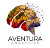 www.aventuraanalytics.com