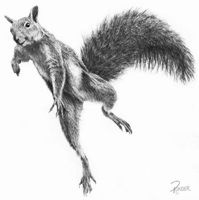 Animal Art Power Animal Art Power