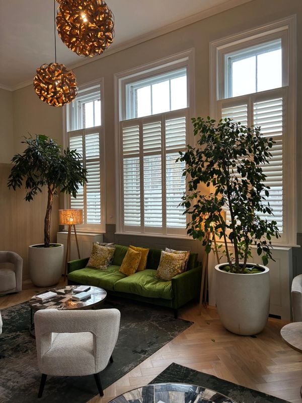 Tall white shutters with modern green sofa