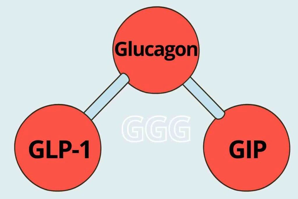 New Weight Loss Drug