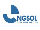  ENGSOL TELEKOM GROUP  SA DE CV