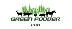 Green Fodder