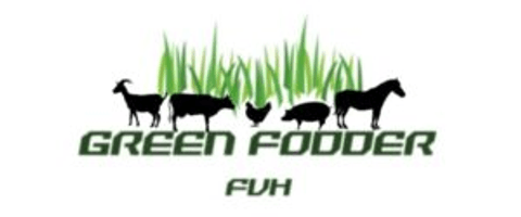 Green Fodder