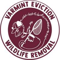 Varmint Eviction