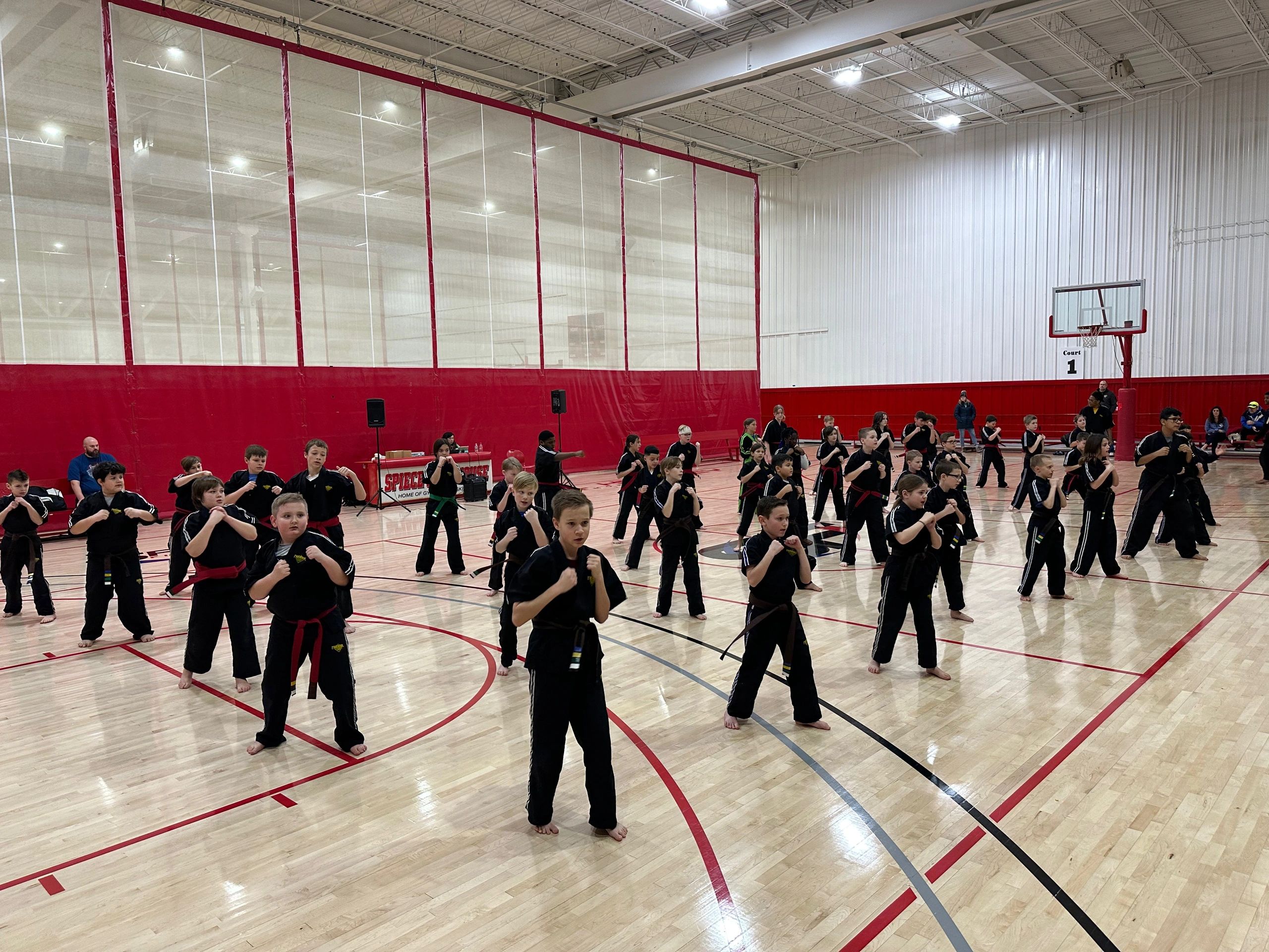 Premier Martial Arts Fort Wayne LLC