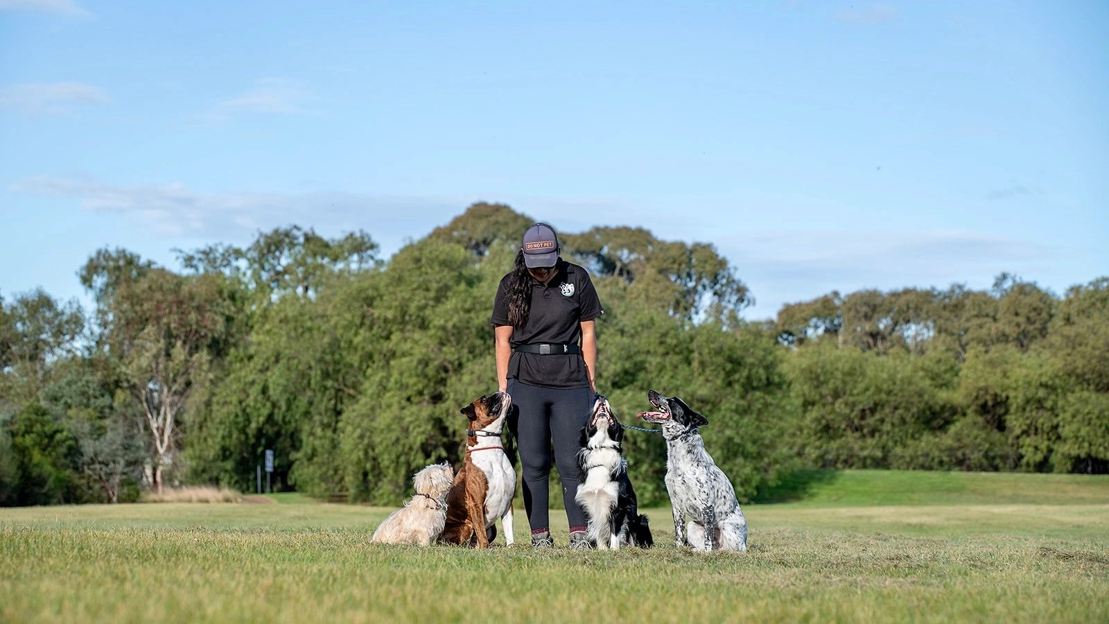 Divine Canine Training and Pet Sitting