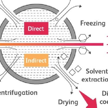 CBD, surfactant, solution