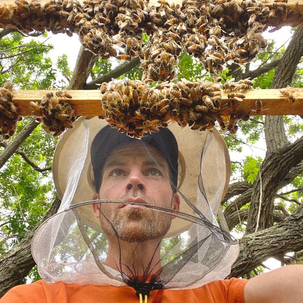 Ryan Williamson , Bee Boys 
Principle  Beekeeper, Apiary Alchemist 