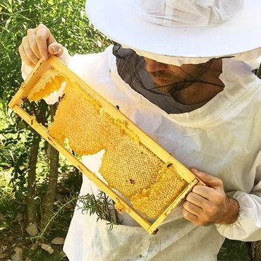 Ryan Williamson , Regenerative beekeeper 
Apiary Alchemist- Bee Boys
