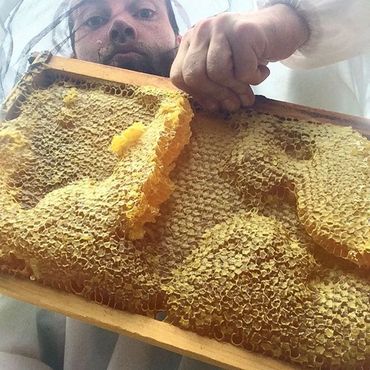 Ryan Williamson, Bee Boys  Regenerative Beekeeper

Raw Hawaiian honey comb
