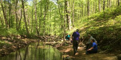 Cave and karst scientists conduct dye trace investigation and hydrologic monitoring.
#dyetracing #gr