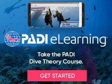 Scuba Classes Near Me, PADI Divemaster Class Crystal Blue Diving, Lake In The Hills, IL 224-333-0800