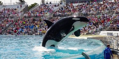 SeaWorld Busch Gardens Sesame Place Theme Park Nannies Nanny Childcare Babysitter Kids Night Out Mom
