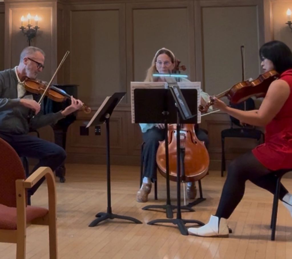 Classically trained and diverse on the viola, here I am performing the Trio in C Minor Op. 9 by Beet