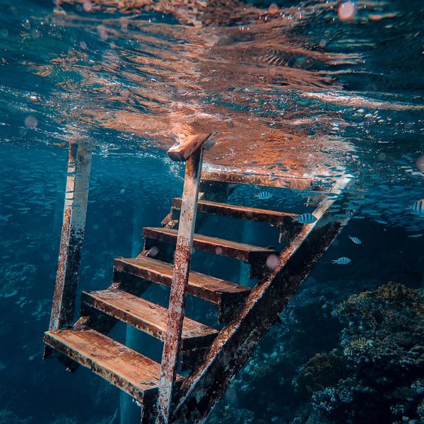 Taking the next steps to improve your marriage. Even if it's underwater.  #marriagegoals #relationsh