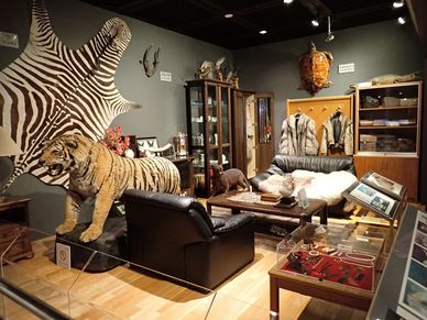 A room filled with taxidermy, animal skins, and vintage furniture.