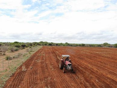 A tractor plowing a large, reddish soil field under a partly cloudy sky.
