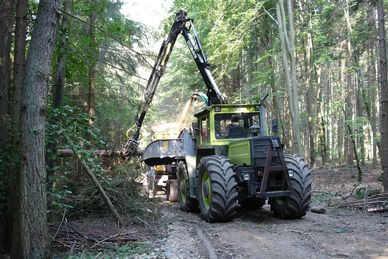 A large forestry machine loading logs in a dense forest.