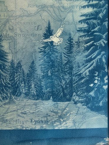 A bird flying over a snow-covered forest with a map overlay.