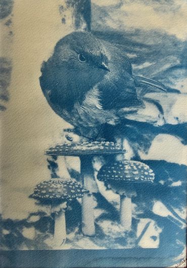 A bird perched on top of three mushrooms in a blue-toned image.