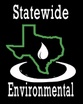 Statewide Environmental
