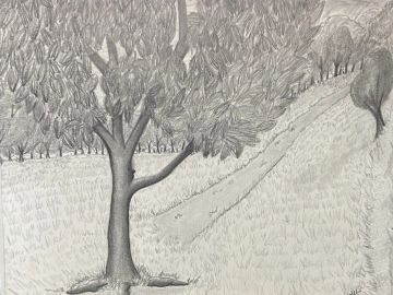 Pencil sketch of a large tree on a grassy hillside.