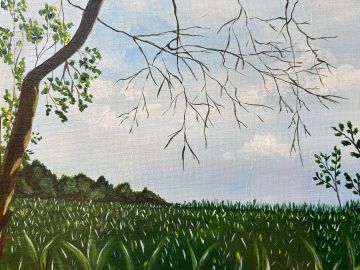 A field with trees and partly cloudy sky.
