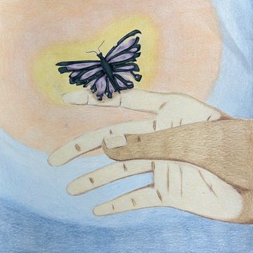 An outstretched hand with a battered butterfly perched on the index finger. 