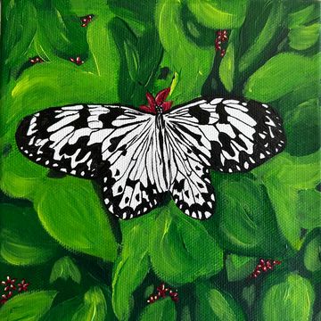 Enchanted Splendor is a 6x6” acrylic painting on deep well canvas of a blue Mormon butterfly on a be