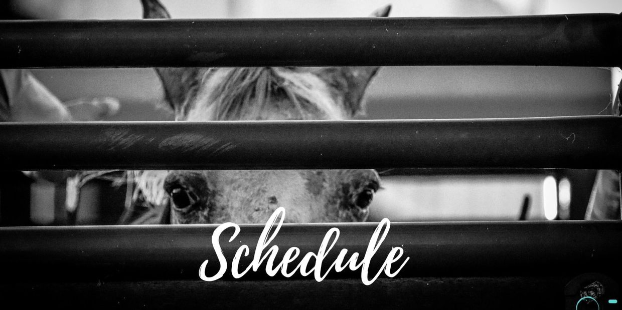 Schedule